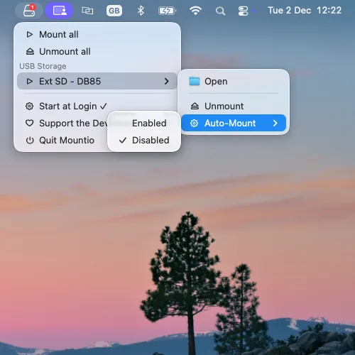 Mountio auto-mount settings